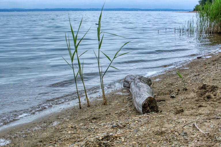 Salvare o respingere? Il paradosso italiano nel Mediterraneo